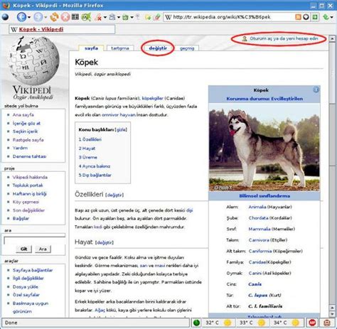 Türkçe Wikipedia Vikipediye Katkı Sağlamak · E Bergi