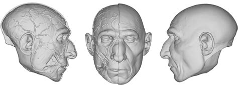 Classify Facial Reconstruction