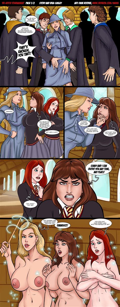 Post Fleur Delacour Ginny Weasley Harry Potter Hermione Granger Mavruda The Goblet Of