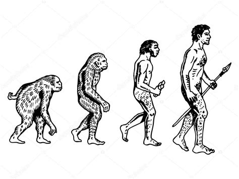 Human Evolution Engraving Vector Illustration — Stock Vector