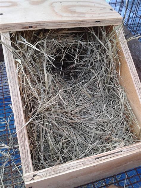 How To Build Rabbit Nest Boxes Rabbit Nest Nesting Boxes Rabbit