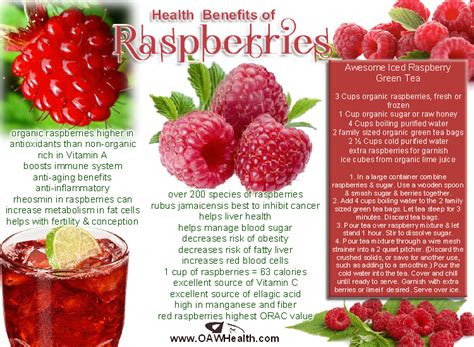 Health Benefits Of Raspberries