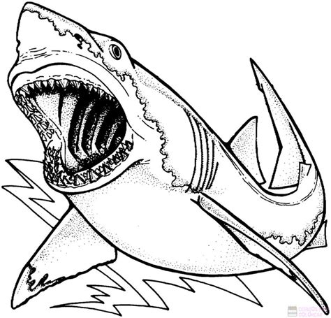 磊 2750 Los Mejores Dibujos De Tiburones Para Colorear ⚡️ Dibujos