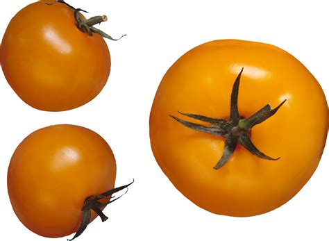 Tomate Png
