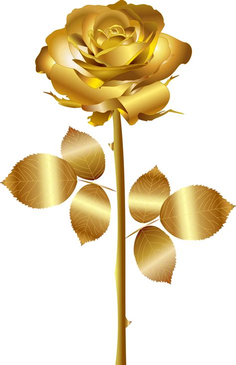 Congratulations The Png Image Has Been Downloaded Golden Rose Png