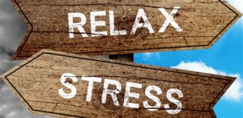 Discover Our 6 Great Stress Busting Tips Cheshire Natural Health