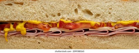 9531 Meat Cross Section Images Stock Photos And Vectors Shutterstock