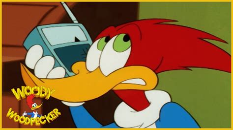 Woody Woodpecker Show He Wouldnt Woody Full Episode Videos For