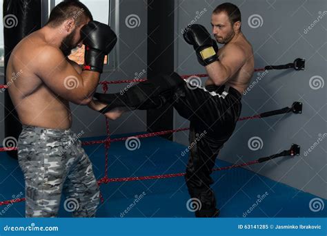 Mixed Martial Artists Fighting Punching Stock Image Image Of Event