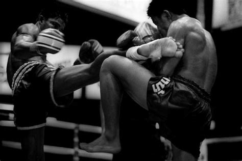 Tudo Sobre Treino De Muay Thai Iniciante Blog Pratique Fitness