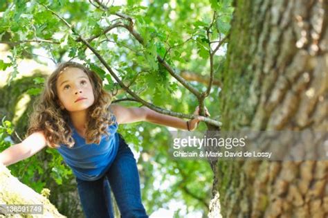 Girl Climbing Tree High Res Stock Photo Getty Images