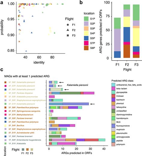 Args Detected In Orfs In Metagenome Assembled Genomes Mags From Download Scientific Diagram