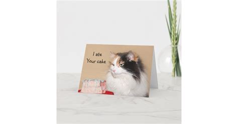 Calico Cat Birthday Card