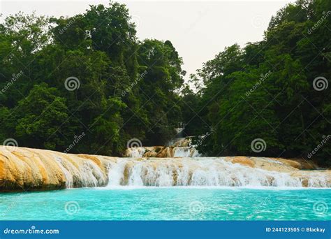Agua Azul Waterfall Cascade In Chiapas Mexico Stock Image Image Of