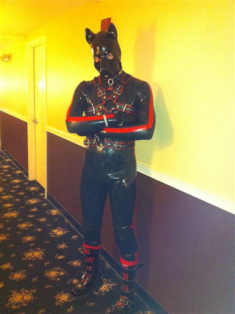 Ranger On Twitter Spacepupsilver I Absolutely Love These Pictures