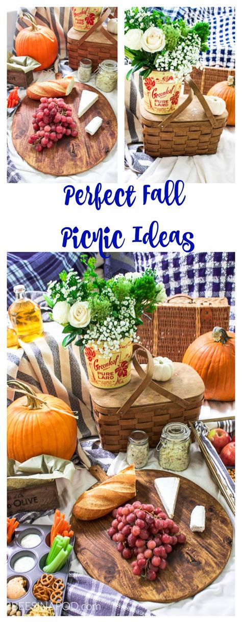 Throw a blanket down and get ready to browse through some great options. Perfect Fall Picnic Ideas - Back to Basics - 2 Bees in a Pod