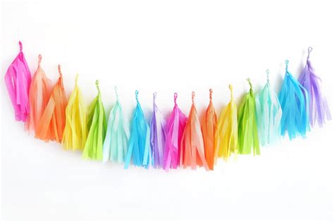 Bright Rainbow Tassel Garland Fringe Tissue Banner Oh Etsy