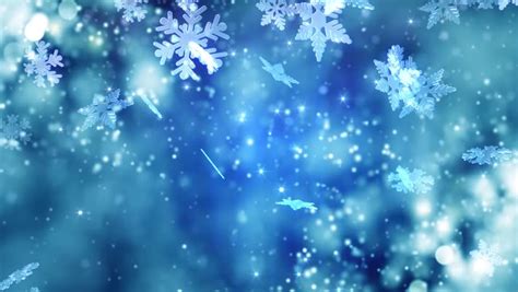 Winter Snowflakes Falling Winter Wonderland Stock Footage Video 100