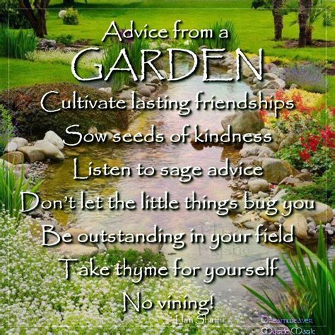 Advice From A Garden Wisdom Quotes Wisdom Quotes Life Advice Quotes