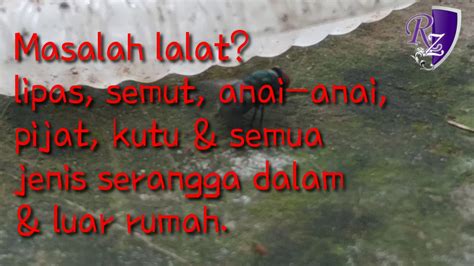 Oleh itu, penggunaan racun kimia dilihat langkah berkesan bagi memastikan serangan serangga perosak dapat dikurangkan atau dihentikan bagi menghasilkan kualiti tanaman kubis yang lebih baik. Racun serangga organik awesome-pilah - YouTube