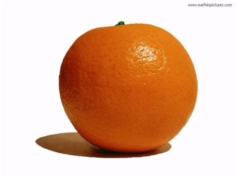 orange pictures  facts  information  orange fruits  vegetables