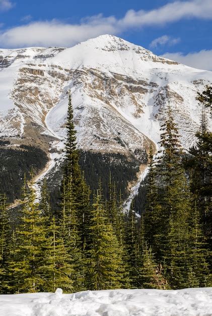 Montañas Nevadas Canadienses Cubiertas De Nieve En El Parque Nacional