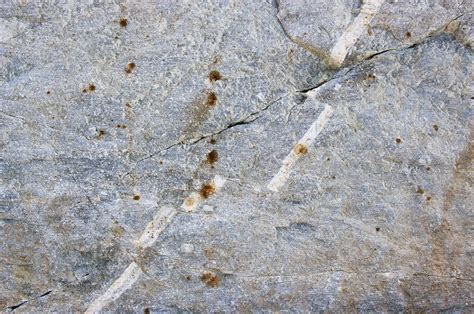 Quartz Vein In Granite Stock Image C0097669 Science Photo Library