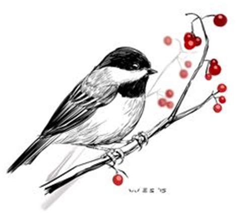 Black capped chickadee coloring page. Chickadee, : Black Capped Chickadee Coloring Page | birds ...