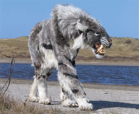 The Saber Toothed Cat Of The North Sea Deposits Magazine Animales
