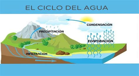 Agua Y El Ciclo Hidrológico Para Qué Sirve Y Cuáles Son Las Fases Del