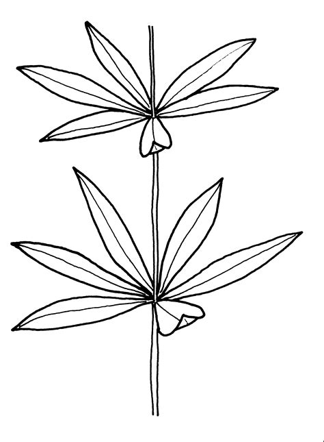 Browse gun drawing images created by professional drawing artist. Marijuana Leaf Drawing Step By Step at GetDrawings | Free ...
