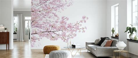 Divine Cherry Blossoms Decorate With A Wall Mural Photowall