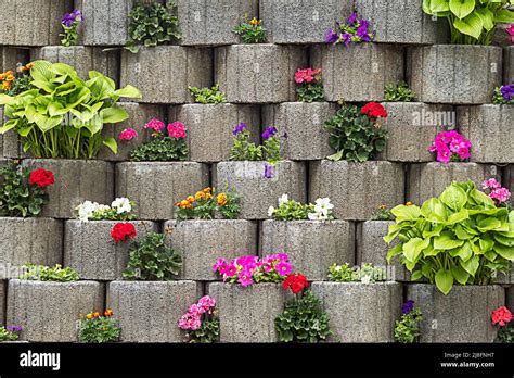 Vertical Flower Bed With Many Colorful Flowers Stock Photo Alamy