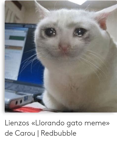 Memes Gatos Llorando Otro De Los Memes Que Sin Lugar A Dudas Marcar N