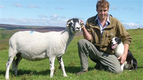 How Swaledale Breeders Found Tups With Better Performance Farmers Weekly