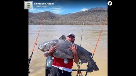 Kentucky Fishermen Catch 95 Pound Catfish On Ohio River Fort Worth