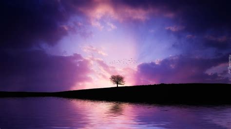 Wiecz R Jezioro Niebo Chmury Ptaki Drzewo