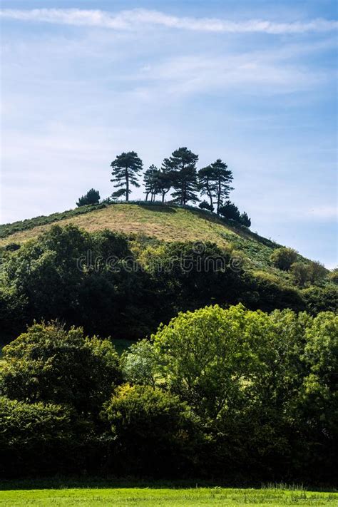 Colmers Hill Symondsbury Stock Photos Free And Royalty Free Stock