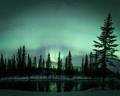 Green Trees During Aurora Borealis Hd Wallpaper