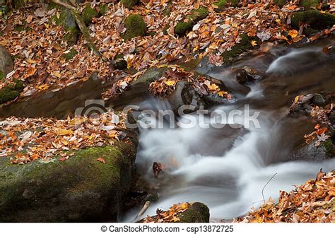 Water Cascading Over Rocks A Cold Mountain Stream Cascading Over Leaf