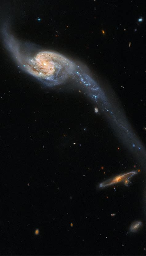 Look Hubble Telescope Sets Its Sights On Peculiar Galaxies