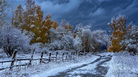 Fence Road And Trees Covered With Snow During Fall Hd Nature Wallpapers