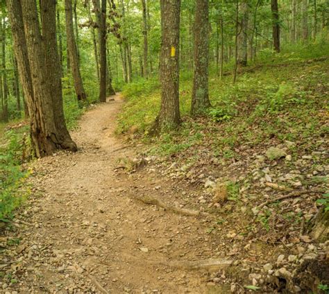 Secluded Hiking Trail In The Blue Ridge Mountains Stock Photo Image