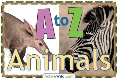 A To Z Animals List For Kids With Pictures And Facts Animal A Z