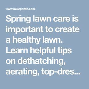 How do you know if you have thatch? Spring lawn care is important to create a healthy lawn. Learn helpful tips on dethatching ...