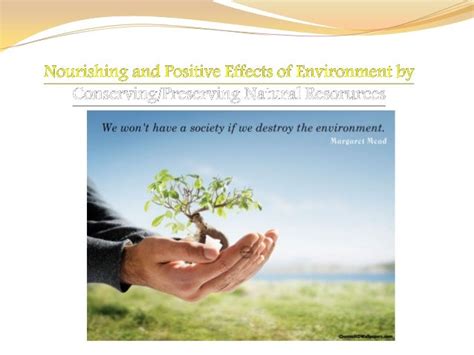 Positive Impact Of Human Activities