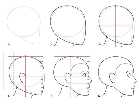 Human Anatomy Fundamentals Basics Of The Face Tuts Design