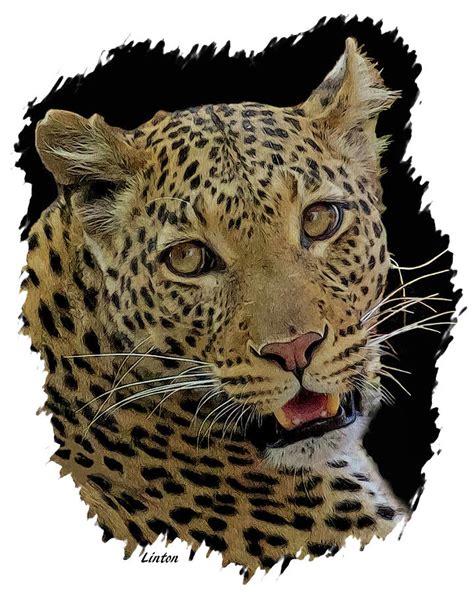 African Leopard Portrait Digital Art By Larry Linton Fine Art America