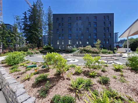 90 Rental Homes For Sfu Students And Their Families Reach Completion
