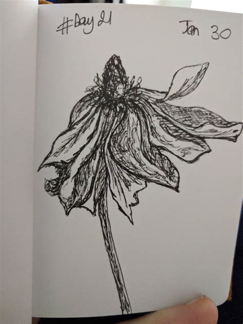 There is currently no wiki page for the tag wilted flower. Wilted Flower Drawing at PaintingValley.com | Explore ...